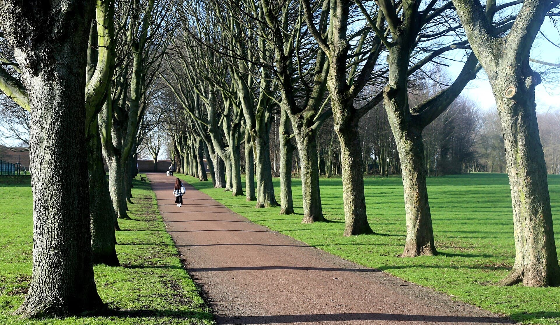 Rotherham city skyline